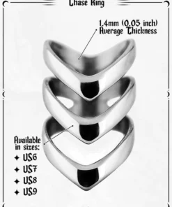 Coupon ⭐ ROGUE AND WOLF All Chase [Mirror Steel] | RING 🧨 -Alternative Accessories Elegant Store rogue and wolf chase mirror steel ring 12 e2c862ba c7f6 458f af68 ca65feeb94f8 700x700