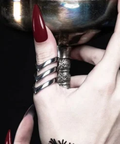 Coupon ⭐ ROGUE AND WOLF All Chase [Mirror Steel] | RING 🧨 -Alternative Accessories Elegant Store rogue and wolf chase mirror steel ring 3 afbd5436 9866 4b59 8363 1a5ed0fdb0cb 700x700